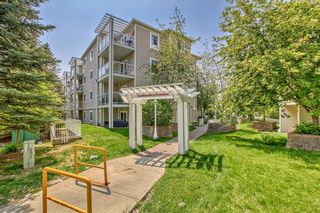 Photo 27: 321 290 SHAWVILLE Way SE in Calgary: Shawnessy Apartment for sale : MLS®# A2052759