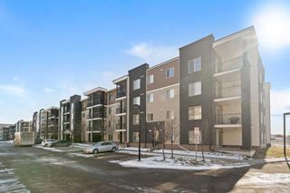 Photo 4: 404 7130 80 Avenue NE in Calgary: Saddle Ridge Apartment for sale : MLS®# A2111706