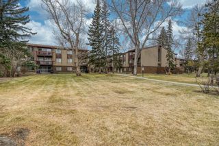 Photo 6: 182 8948 Elbow Drive SW in Calgary: Haysboro Apartment for sale : MLS®# A1161260