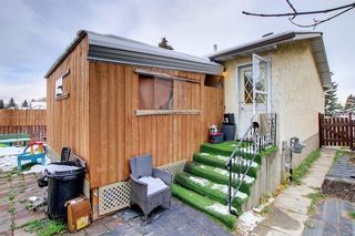 Photo 34: 136 Rundlecairn Rise NE in Calgary: Rundle Detached for sale : MLS®# A2008668