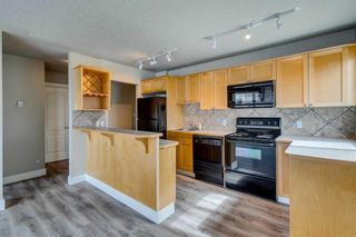 Photo 13: 305 2515 14A Street SW in Calgary: Bankview Apartment for sale : MLS®# A2123409