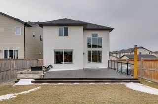 Photo 47: 36 Panatella Link NW in Calgary: Panorama Hills Detached for sale : MLS®# A1209945