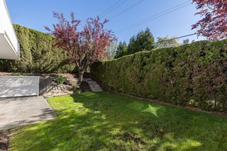 Photo 37: 70 3054 TRAFALGAR Street in Abbotsford: Central Abbotsford Townhouse for sale in "Whispering Pine Meadows" : MLS®# R2879887