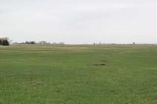 Photo 4: On Highway 567 in Rural Rocky View County: Rural Rocky View MD Land for sale : MLS®# C4233359