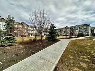 Photo 23: 303 6603 New Brighton Avenue SE in Calgary: New Brighton Apartment for sale : MLS®# A2121574