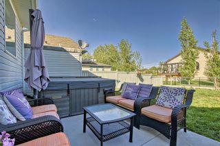 Photo 37: 199 Lakeview Cove: Chestermere Detached for sale : MLS®# A2037328