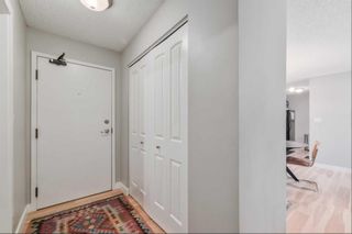 Photo 5: 301 930 18 Avenue SW in Calgary: Lower Mount Royal Apartment for sale : MLS®# A2122478