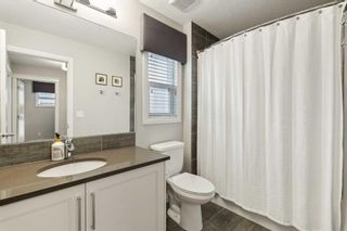 Photo 33: 56 Cranbrook Circle SE in Calgary: Cranston Detached for sale : MLS®# A2130152
