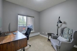 Photo 28: 233 20 Discovery Ridge Close SW in Calgary: Discovery Ridge Apartment for sale : MLS®# A1217013