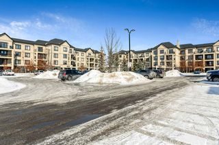 Photo 29: 2111 310 Mckenzie Towne Gate SE in Calgary: McKenzie Towne Apartment for sale : MLS®# A2032667