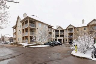 Main Photo: 104 4000 Citadel Meadow Point NW in Calgary: Citadel Apartment for sale : MLS®# A2128486