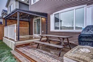 Photo 32: 273 Sage Meadows Park NW in Calgary: Sage Hill Detached for sale : MLS®# A2128029