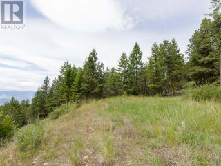 Photo 37: LOT 4 WHITETAIL Place in Osoyoos: Vacant Land for sale : MLS®# 198188