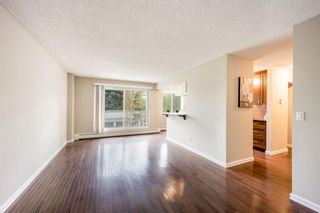 Photo 6: 202 4455C Greenview Drive NE in Calgary: Greenview Apartment for sale : MLS®# A1110677