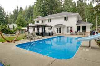 Photo 18: 27850 LAUREL Place in Maple Ridge: Northeast House for sale : MLS®# R2311224