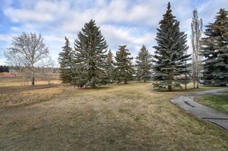 Photo 37: 10 3015 51 Street SW in Calgary: Glenbrook Row/Townhouse for sale : MLS®# A2097059