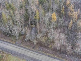 Photo 6: 1582 Black River Road in Black River Lake: Kings County Vacant Land for sale (Annapolis Valley)  : MLS®# 202321722