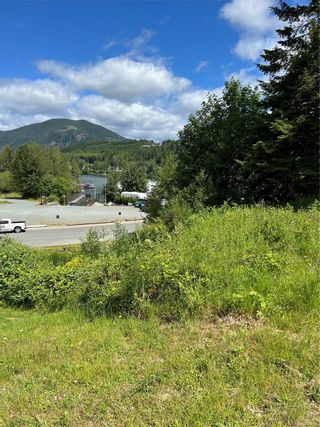 Photo 12: 416 Point Ideal Dr in Lake Cowichan: Du Lake Cowichan Land for sale (Duncan)  : MLS®# 964883