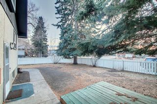 Photo 45: 3916 32 Avenue SW in Calgary: Glenbrook Semi Detached for sale : MLS®# A1179467