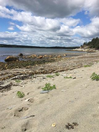 Photo 12: 00 Highway316 in New Harbour: 303-Guysborough County Vacant Land for sale (Highland Region)  : MLS®# 202119405