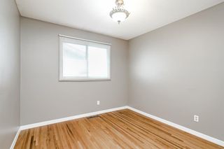 Photo 18: 4908 Nelson Road NW in Calgary: North Haven Detached for sale : MLS®# A2040949