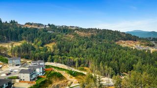 Photo 68: 3452 Caldera Crt in Langford: La Bear Mountain House for sale : MLS®# 951616