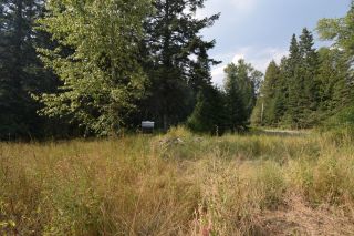 Photo 5: 106 TAMARAC STREET in Salmo: Vacant Land for sale : MLS®# 2467591