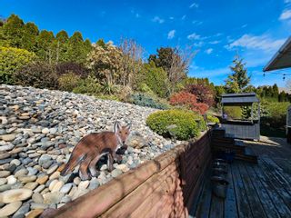 Photo 26: 8017 MELBURN Drive in Mission: Mission BC House for sale : MLS®# R2869228