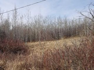 Photo 8: Lakeview Drive: Rural Camrose County Residential Land for sale : MLS®# A2129369