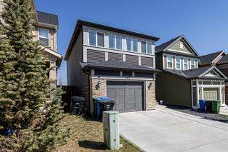 Photo 30: 163 Evanscrest Way NW in Calgary: Evanston Detached for sale : MLS®# A2045300