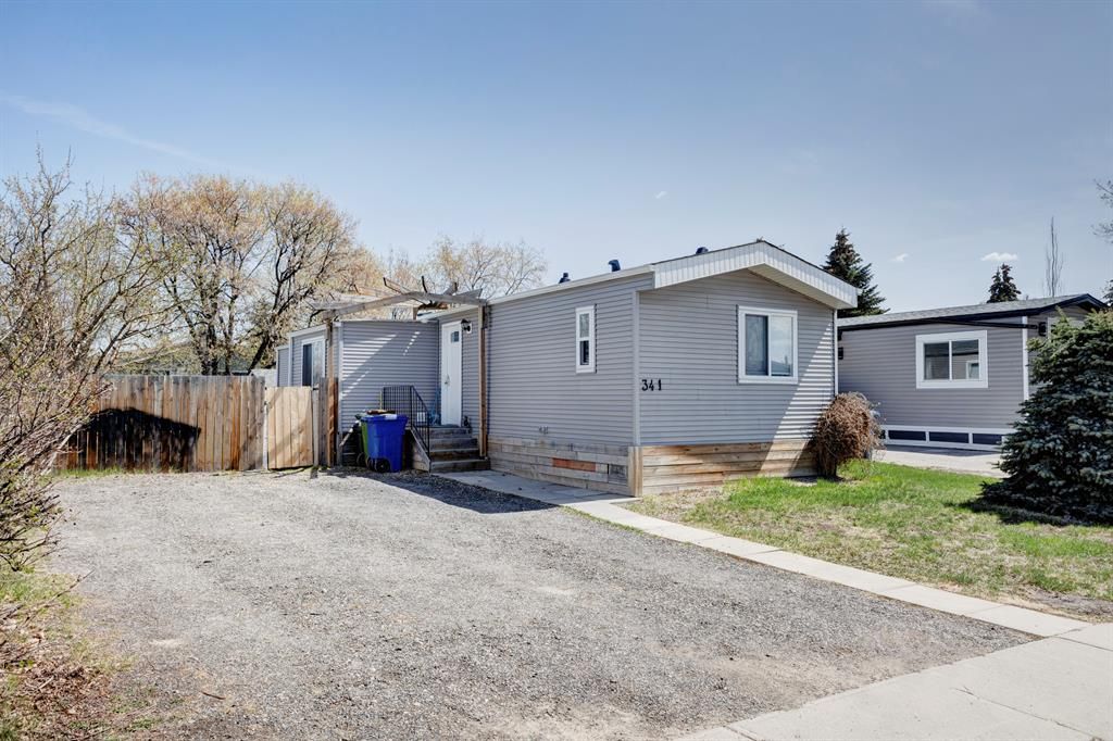 Main Photo: 341 Big Springs Drive SE: Airdrie Detached for sale : MLS®# A2050217