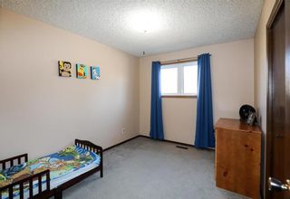 Photo 17: 93 Lilac Avenue in Grunthal: R16 Residential for sale : MLS®# 202103063