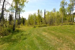 Photo 31: 2847 PTARMIGAN Road in Smithers: Smithers - Rural House for sale (Smithers And Area (Zone 54))  : MLS®# R2457122