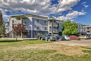 Photo 8: 1215 2280 68 Street NE in Calgary: Monterey Park Apartment for sale : MLS®# A2054328
