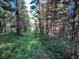 Photo 27: LOT 3 CAVE Road in Williams Lake: Horsefly Land for sale : MLS®# R2719437