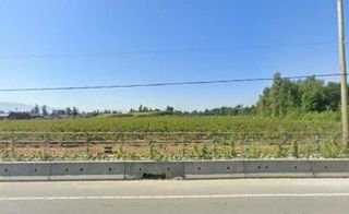 Photo 3: 29996 MARSHALL ROAD EXTEN in Abbotsford: Aberdeen Agri-Business for sale : MLS®# C8055610