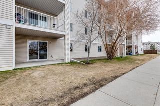 Photo 18: 2114 6224 17 Avenue SE in Calgary: Red Carpet Apartment for sale : MLS®# A2126709
