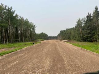 Photo 4: lot 2 Range Road 84 Township Road 722: Wembley Residential Land for sale : MLS®# A2105073