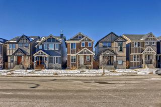 Photo 40: 261 Skyview Ranch Boulevard NE in Calgary: Skyview Ranch Detached for sale : MLS®# A2109080