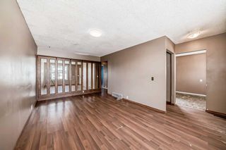 Photo 11: 176 Dovely Crescent SE in Calgary: Dover Detached for sale : MLS®# A2118047