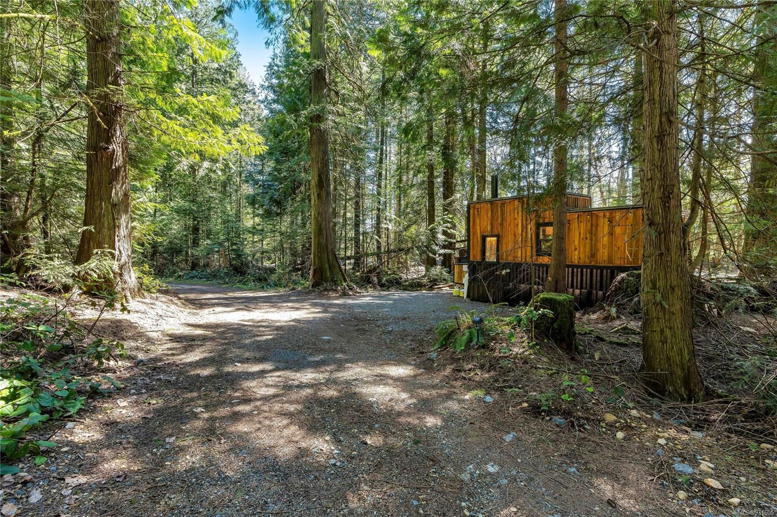 Tiny home nestled in the forest