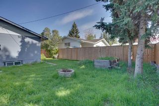Photo 33: 9703 2 Street SE in Calgary: Acadia Detached for sale : MLS®# A2131345