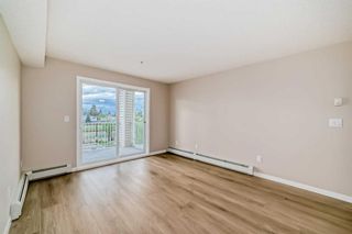 Photo 13: 209 1717 60 Street SE in Calgary: Red Carpet Apartment for sale : MLS®# A2133379