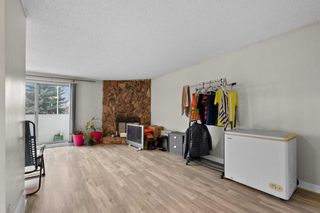 Photo 4: 2724 46 Street SE in Calgary: Dover Semi Detached (Half Duplex) for sale : MLS®# A2093805