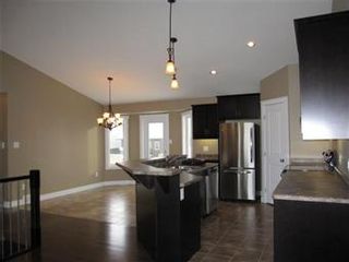 Photo 4: 419 Faldo Crescent: Warman Single Family Dwelling for sale (Saskatoon NW)  : MLS®# 385015