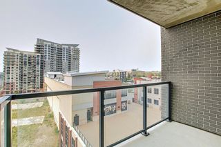 Photo 31: 1017 8880 Horton Road SW in Calgary: Haysboro Apartment for sale : MLS®# A1223060
