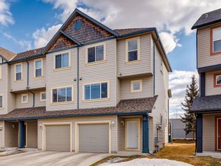 Photo 21: 133 COPPERFIELD Lane SE in Calgary: Copperfield Row/Townhouse for sale : MLS®# C4236105