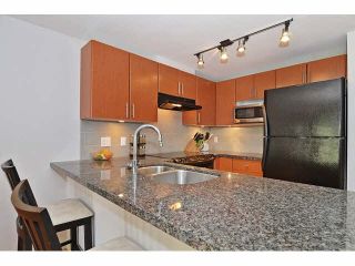 Photo 5: 413 2520 MANITOBA Street in Vancouver: Mount Pleasant VW Condo for sale in "VUE" (Vancouver West)  : MLS®# V1129209