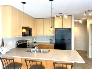 Photo 12: 317 5115 Richard Road SW in Calgary: Lincoln Park Apartment for sale : MLS®# A1179249