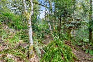 Photo 35: 3013 Manzer Rd in Sooke: Sk 17 Mile House for sale : MLS®# 960355